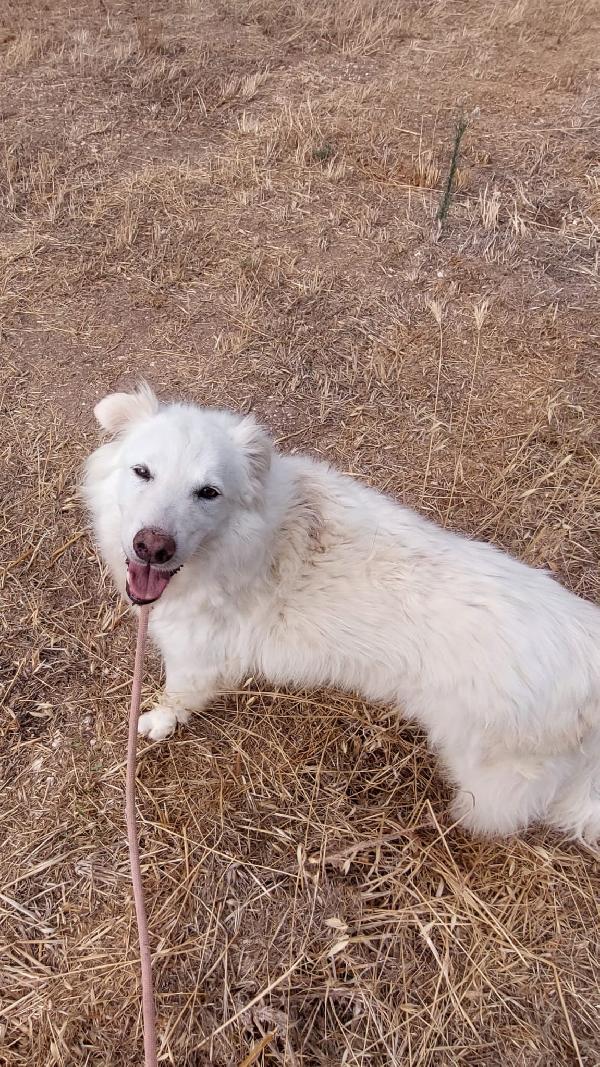 Nonna Penny Cerca Famiglia. Info Monica 3890238584 Foto 6